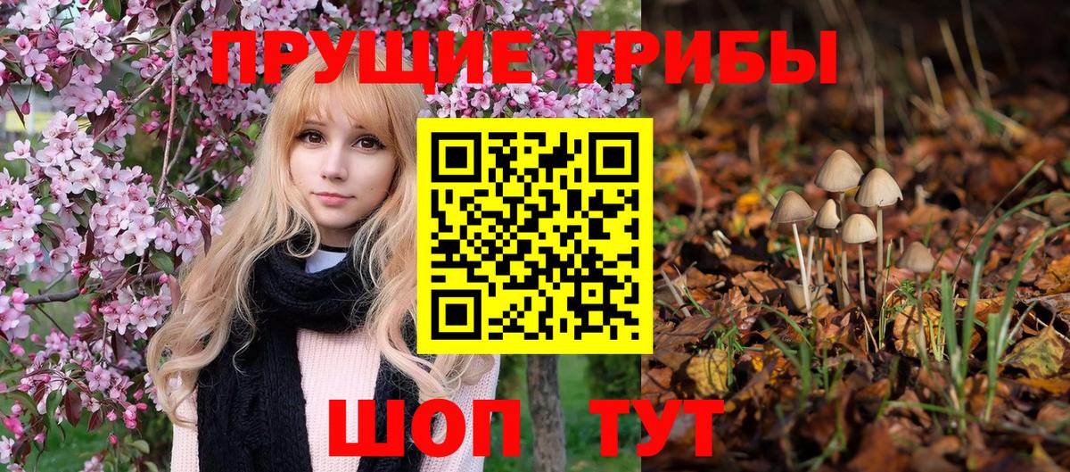 Псилоцибиновые грибы Magic Shrooms  Вход с VPN  Борзя 
